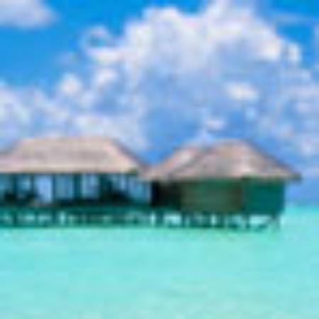 Mouthful's Flame Grill